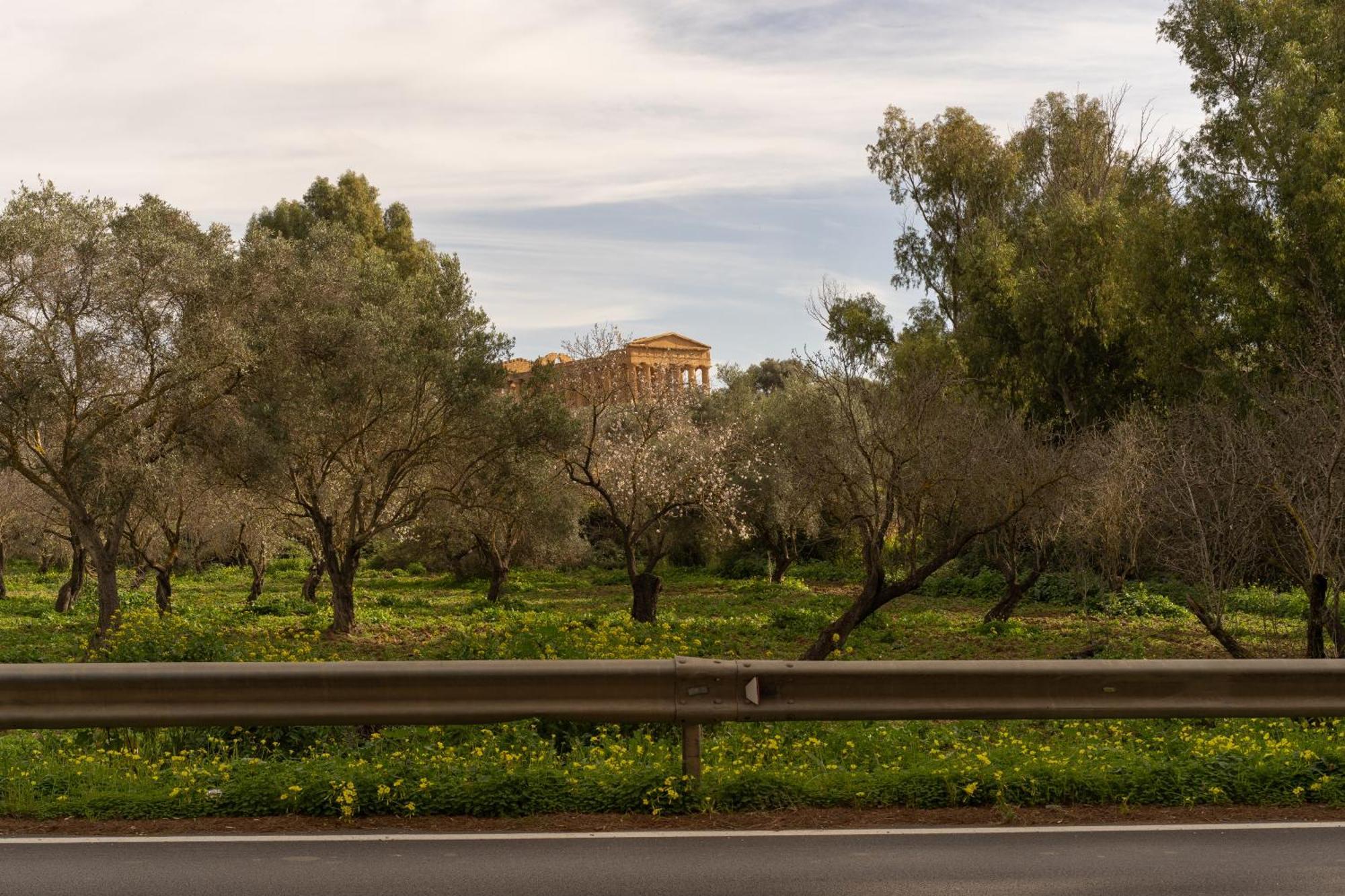 Il Giardino Del Tempio Bed and Breakfast Αγκριτζέντο Εξωτερικό φωτογραφία